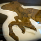 The mummified caribou at the unveiling.